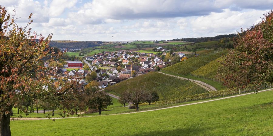 Blick auf die Gemeinde Maisprach und ihr Weinbaugebiet im nördlichen Oberbaselbiet. 1546 zerstörte ein Brand fast das ganze Dorf.