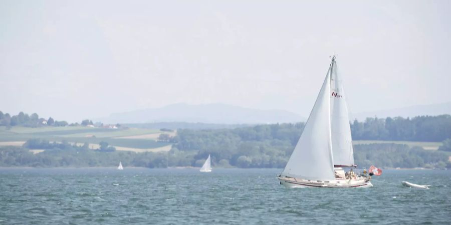 Neuenburgersee Cyanobakterien