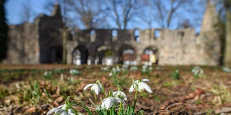 frühling wetter