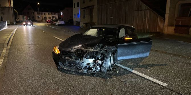 Fahrzeuglenker verursacht Selbstunfall.