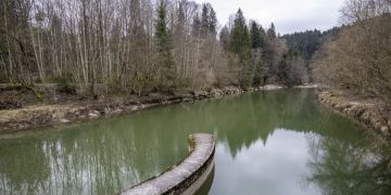 Schwyz