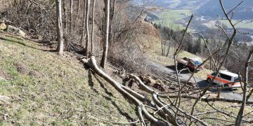 Ruschein: Arbeitsunfall