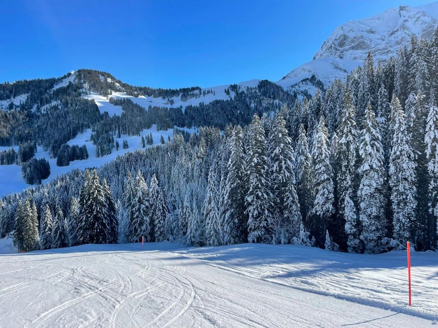 Denn im Skigebiet selbst bieten sich dann perfekte Bedingungen.