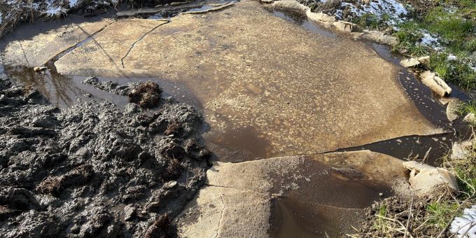 Landwirt verzeigt - Mehlbach in Marbach SG durch Jauche verschmutzt