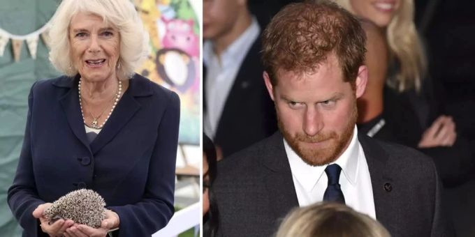 Bei Blitzbesuch - Harry wollte nicht im selben Raum wie Camilla sein!