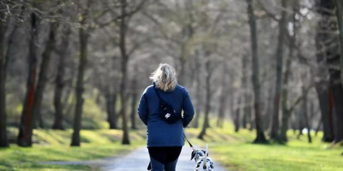 Die Polizei in Winterthur-Veltheim warnt vor Tierködern mit scharfen Scherben. Tierköder