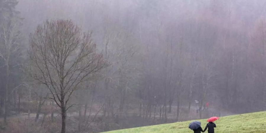 Spaziergänger sind mit Regenschirmen an einem nebligen tristen Wintertag unterwegs. Foto: Rene Traut/dpa/Archivbild