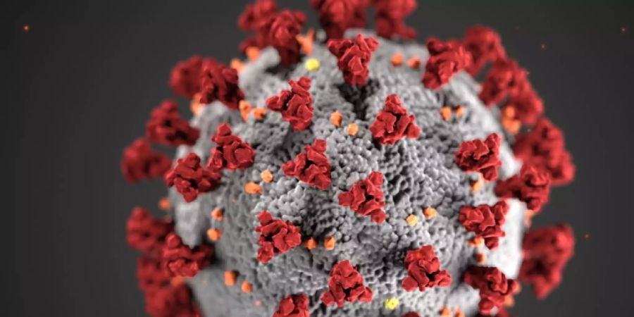 Die Zahl der Coronafälle in der Schweiz ist innert 24 Stunden um fast 1300 gestiegen.