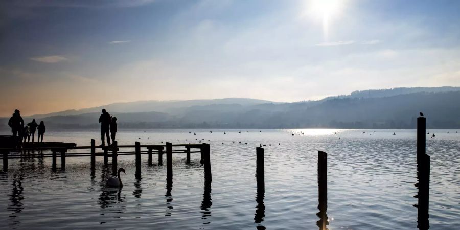 Greifensee