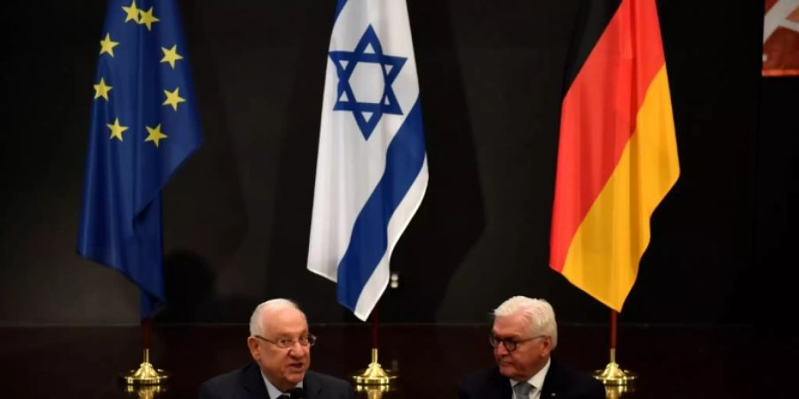 Steinmeier und Rivlin
