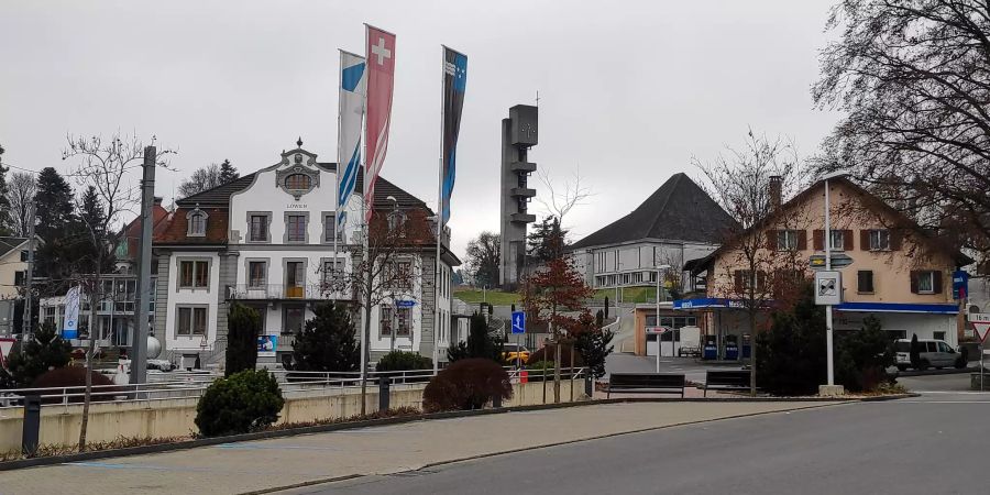 Sicht auf das Dorf in Beinwil am See.