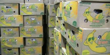 Bananenkisten