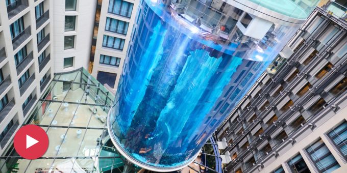 «Keine Chance» - Aquarium-Explosion hätte «zig Tote» geben können