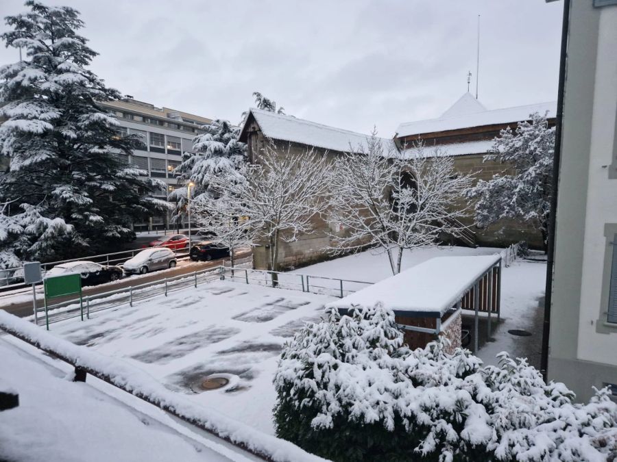 Auch in der Stadt Freiburg lag am Samstagmorgen viel Schnee.