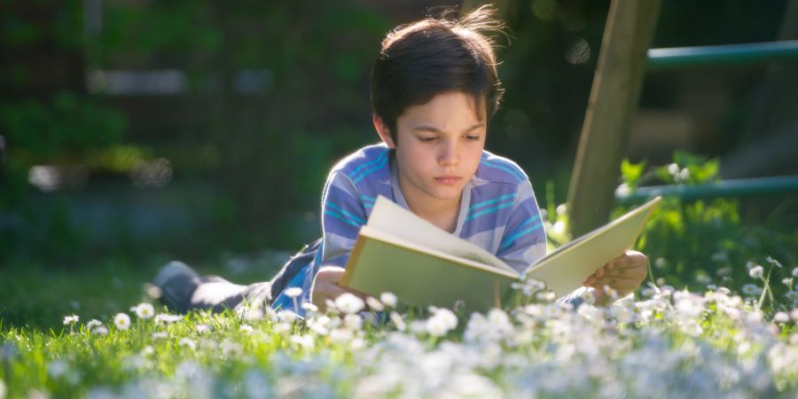 Junge liest ein Buch