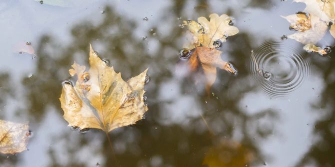 Herbst Wetter