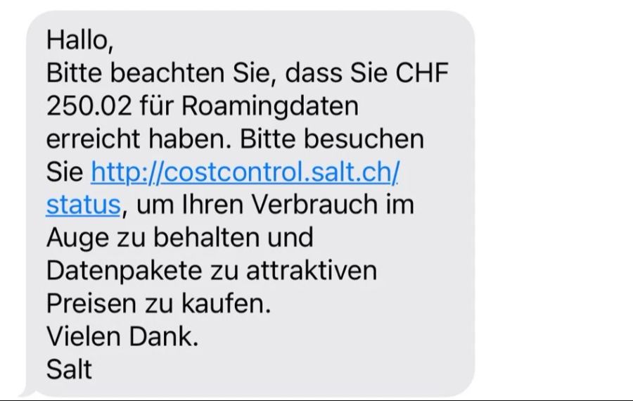 Die Salt-Kundin verbrachte kaum zwei Minuten im Netz. Kosten dafür 250 Franken.