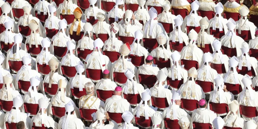 Der Papst feiert die Heilige Messe mit den neuen Kardinälen und dem Kardinalskollegium auf dem Petersplatz.