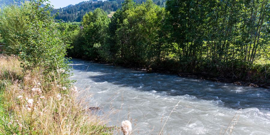 Die Simme bei Zweisimmen. - Simmental
