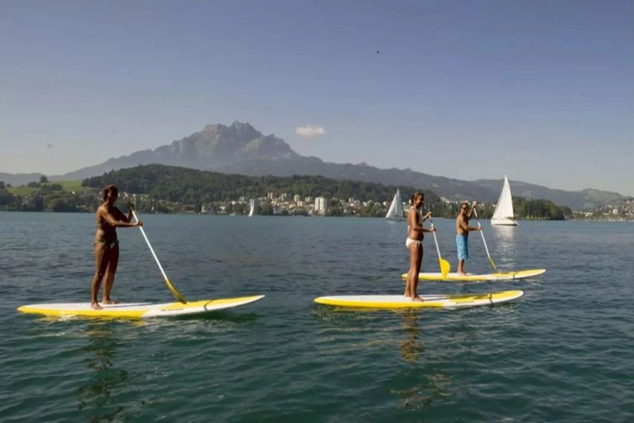 Für Stand-Up-Paddler lauern aber noch andere Gefahren auf dem Wasser.