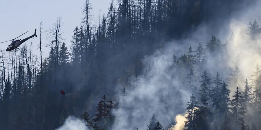 Bei der Bekämpfung des Waldbrandes bei Bitsch VS bekamen die Walliser Feuerwehrleute Unterstützung aus mehreren Kantonen. (Archivbild vom 20.7.)