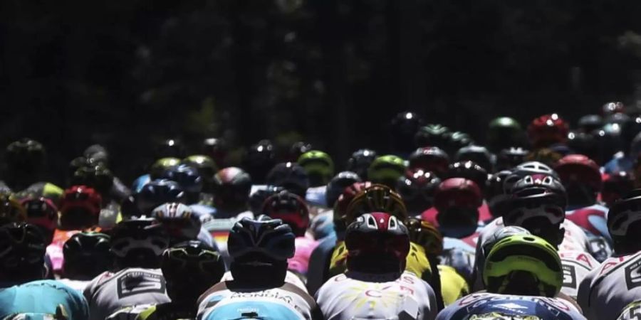 Die 6. Etappe der Tour de France geht erstmals ins Hochgebirge. Die Favoriten müssen sich nun zeigen. Foto: Thibault Camus/AP