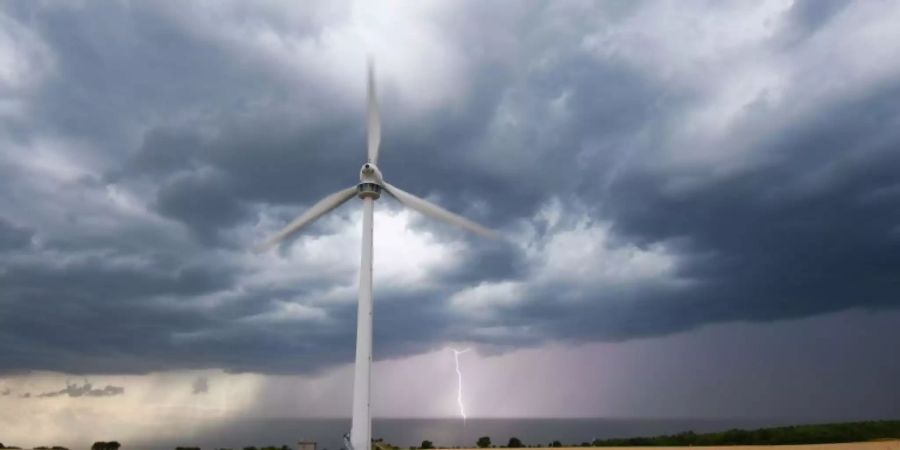 Windrad auf einem Feld
