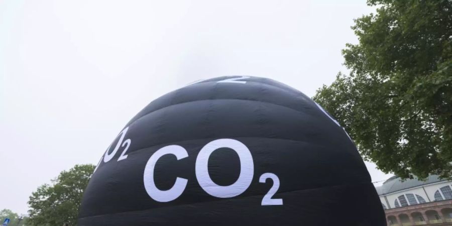 Greenpeace-Aktivisten am Dienstag in Frankfurt am Main