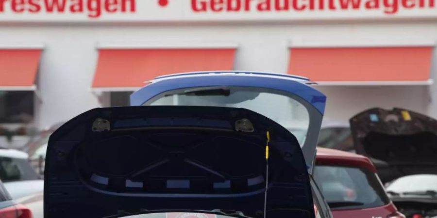 Neu- und Gebrauchtwagen stehen bei einem Autohändler nebeneinander. Foto: Sebastian Kahnert/dpa/Illustration