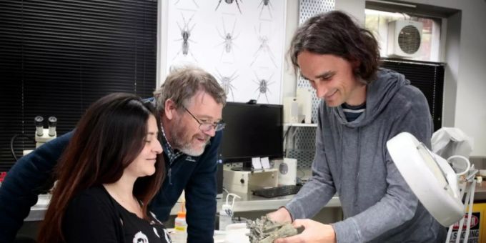 Forscher mit dem Fossil des Riesenpinguins Forscher mit dem Fossil des Riesenpinguins