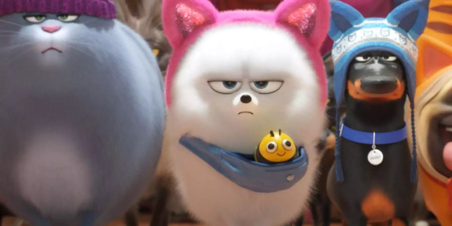 Der Animationsfilm «The Secret Life Of Pets 2» hat sich am Wochenende vom 27. bis 30. Juni 2019 den ersten Platz in den Deutschschweizer Kinocharts gesichert. (Archiv)