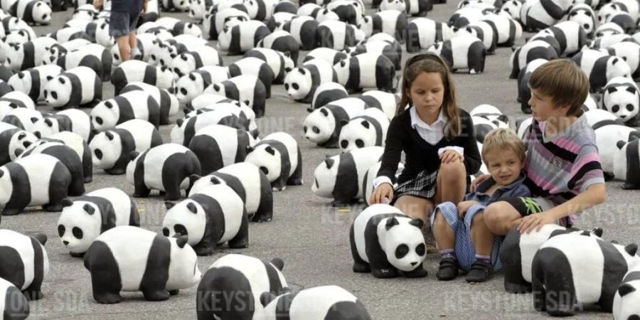 Der WWF hat in Zusammenarbeit mit Forschern neue Tierarten im südostasiatischen Mekong-Delta entdeckt. Die Pandas gehören zu den bedrohten Tierarten. (Archivbild)