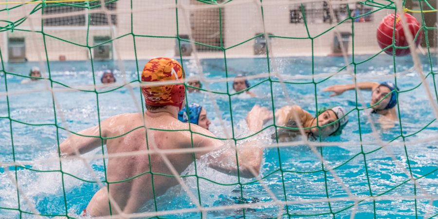 Der SC Frosch Aegeri lässt dem gegnerischen Team keine Chance (hier im Abschluss gegen Lausanne Natation, 2020) - Unterägeri