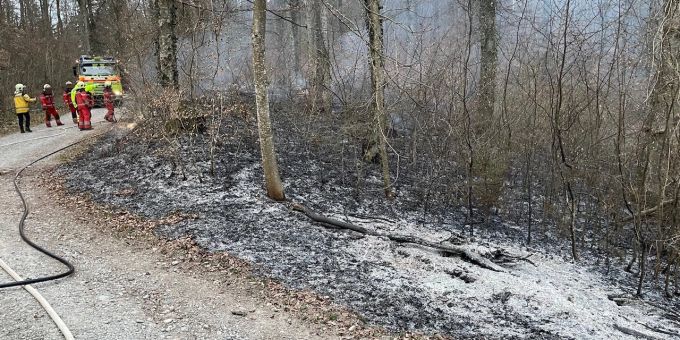 Beim Brand wurde niemand verletzt. Beim Brand wurde niemand verletzt.