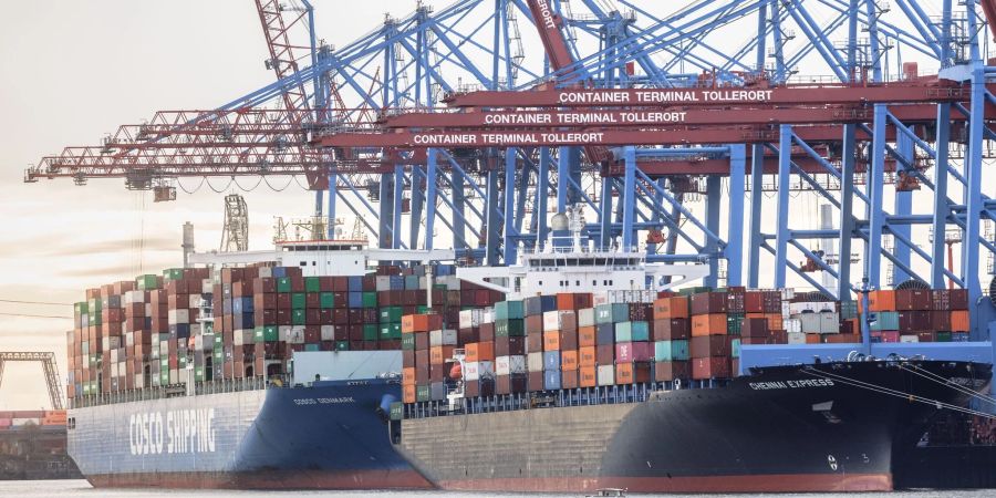 Containerschiffe liegen im Hamburger Hafen am Terminal Tollerort: Der chinesische Cosco-Konzern wird sich wohl mit weniger als 25 Prozent an der Betreibergesellschaft des Terminals Tollerort beteiligen.