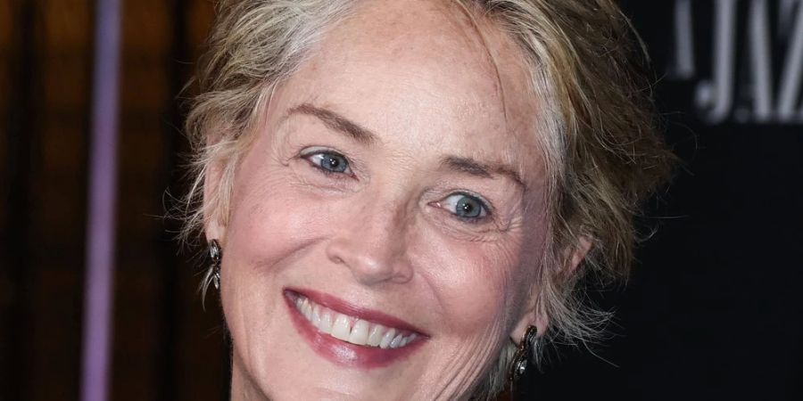 Sharon Stone hat drei adoptierte Söhne.