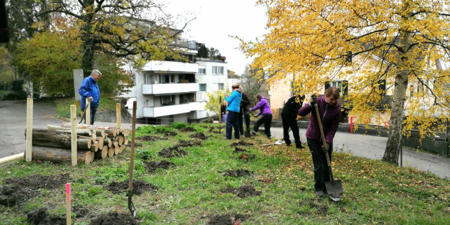 Personen beim Pflanzen.