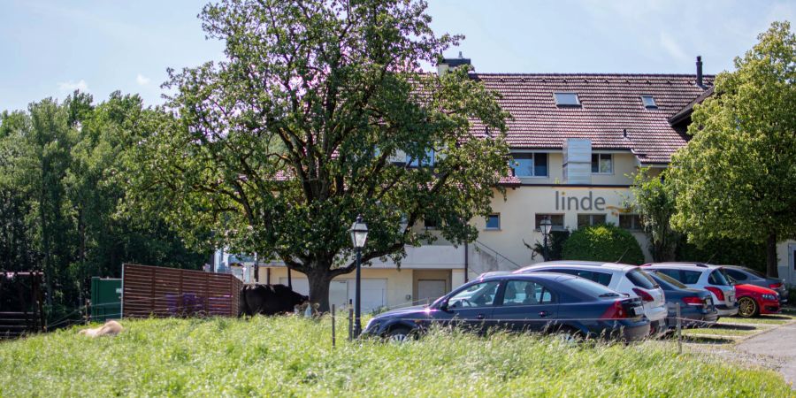 Das Restaurant zur Linde in Büttikon. - Bezirk Bremgarten