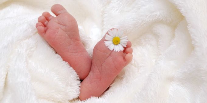 Neugeborenes (Symbolbild). Baby Neugeborenes Füsse Blume Decke kuschelig