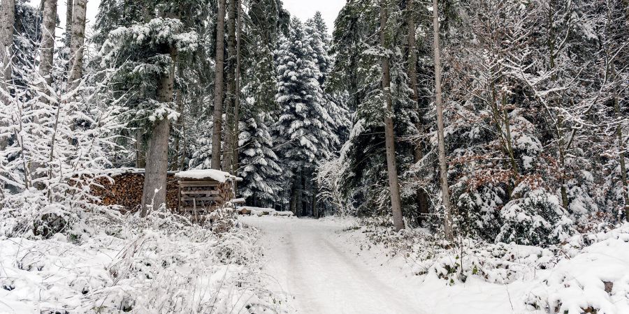 Eine verschneite Waldstrasse im Winter. (Symbolbild)