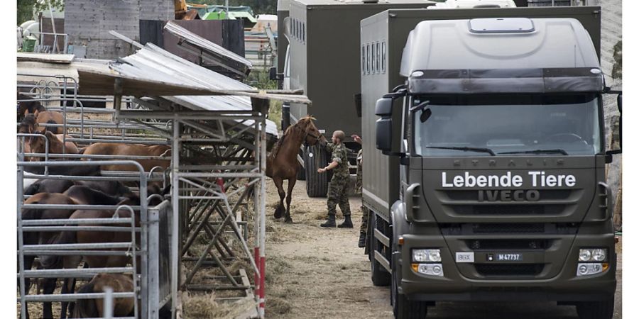 Der Hof des beschuldigten Tierquälers von Hefenhofen TG wurde im August 2017 zwangsgeräumt. (Archivbild)