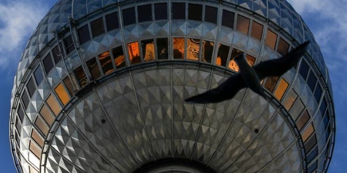 Vogel vor Berliner Fernsehturm Vogel vor Berliner Fernsehturm