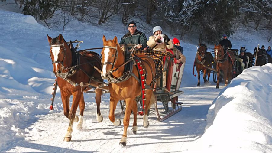 Schlittenfahrt an der Lenk.