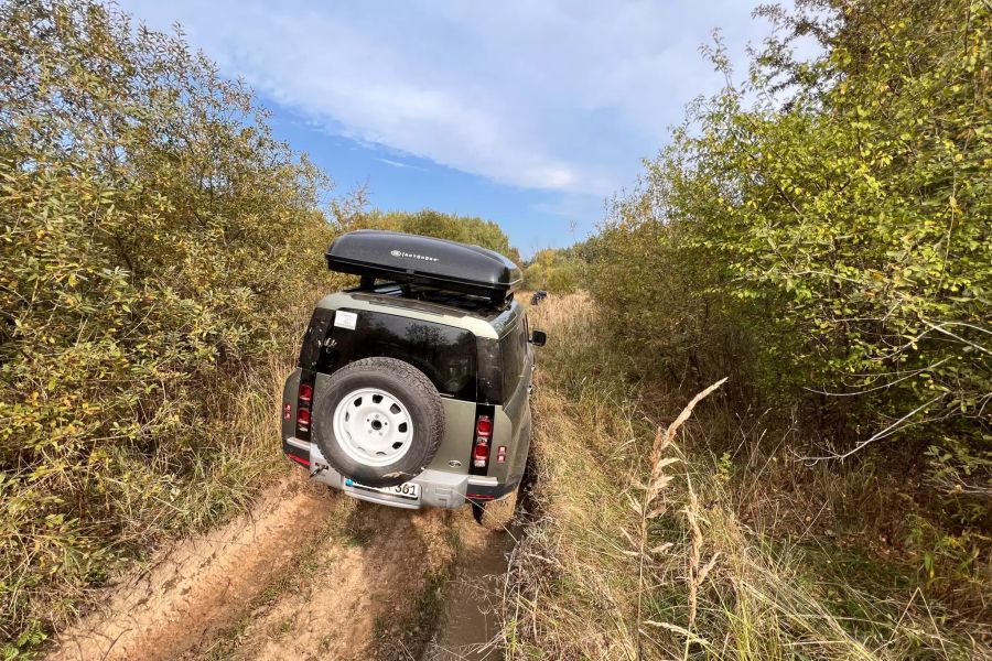 Geländewagen auf sandigem Untergrund zwischen Gebüsch