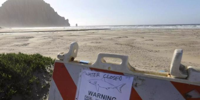 Strandsperrung in Morro Bay, Kalifornien. Foto: David Middlecamp/The Tribune (of San Luis Obispo) via AP/dpa Strandsperrung in Morro Bay, Kalifornien. Foto: David Middlecamp/The Tribune (of San Luis Obispo) via AP/dpa
