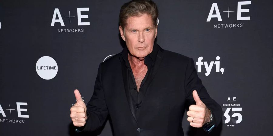 David Hasselhoff helene fischer