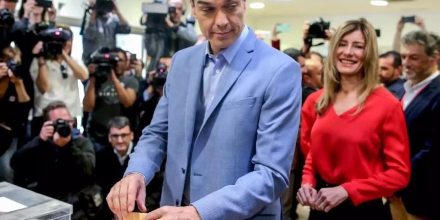 Wahlsieger mit schwierigen Mehrheitsverhältnissen: Pedro Sanchez im Wahllokal. Foto: Cèzaro De Luca