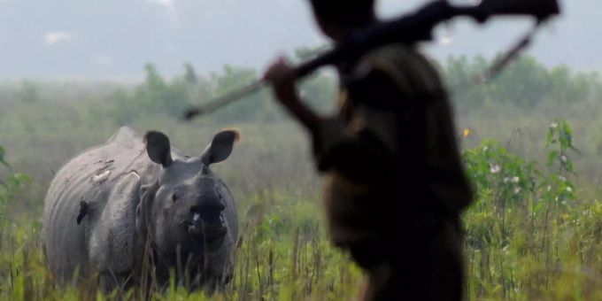 Wegen dem Horn eines Rhinozeros starb ein Mann unter der Folter krimineller Wildhüter. WWF Tierschutz? (Symbolbild). WWF Tierschutz