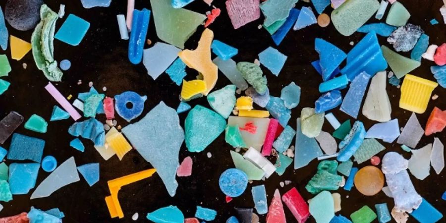 Beim Verwittern und durch Abrieb kann Plastik in winzige Teile zerbröckeln. So gelangt das Mikroplastik auch leicht in die Mägen von Fischen und anderen Organismen.