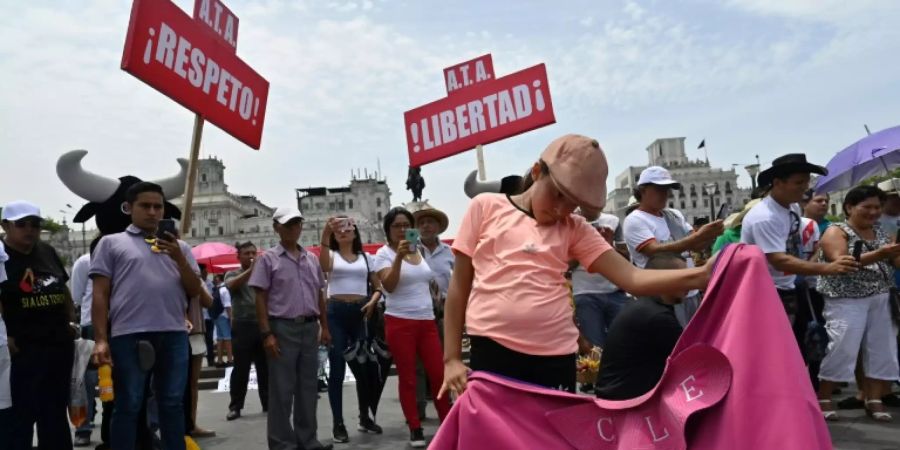 Fans von Stier- und Hahnenkämpfen demonstrieren in Lima